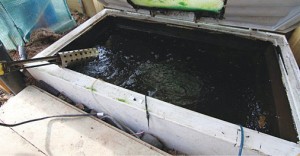 The fish zone.